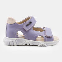 BX S 11 PURPLE