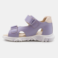 BX S 11 PURPLE